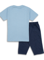 119 Blue & Navy Blue Back