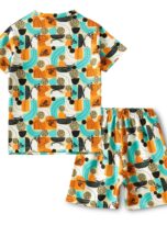 B777-BlueOrange Back